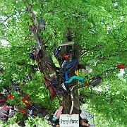 Picture 004
